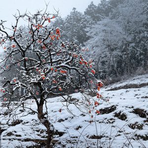 銅賞「冬の訪れ」白木和夫